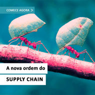 Imagem de A Nova Ordem do Supply Chain