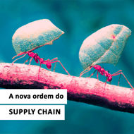 Imagem de A Nova Ordem do Supply Chain