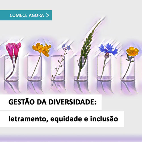 Imagem de Gestão da Diversidade - Letramento, Equidade e Inclusão