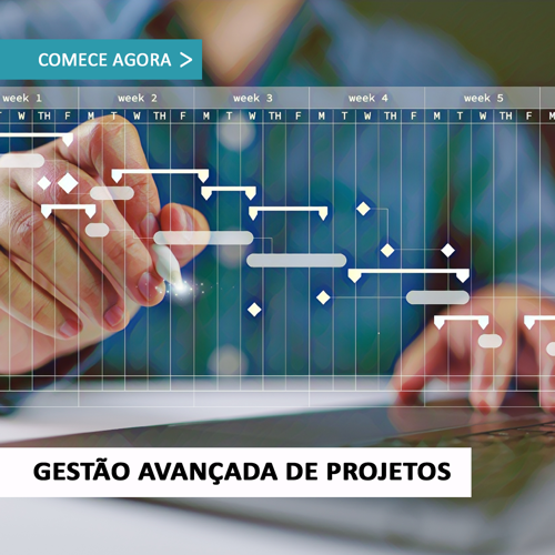 Imagem de Gestão Avançada de Projetos